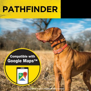 Dogtra Pathfinder GPS collar